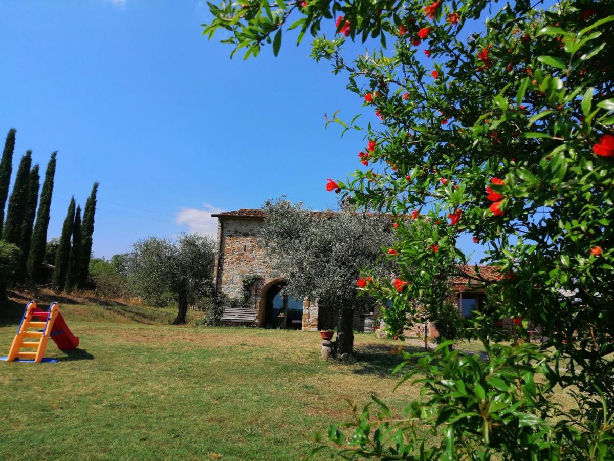Casetta Dell'Uliveto Macchiascandona Exterior photo