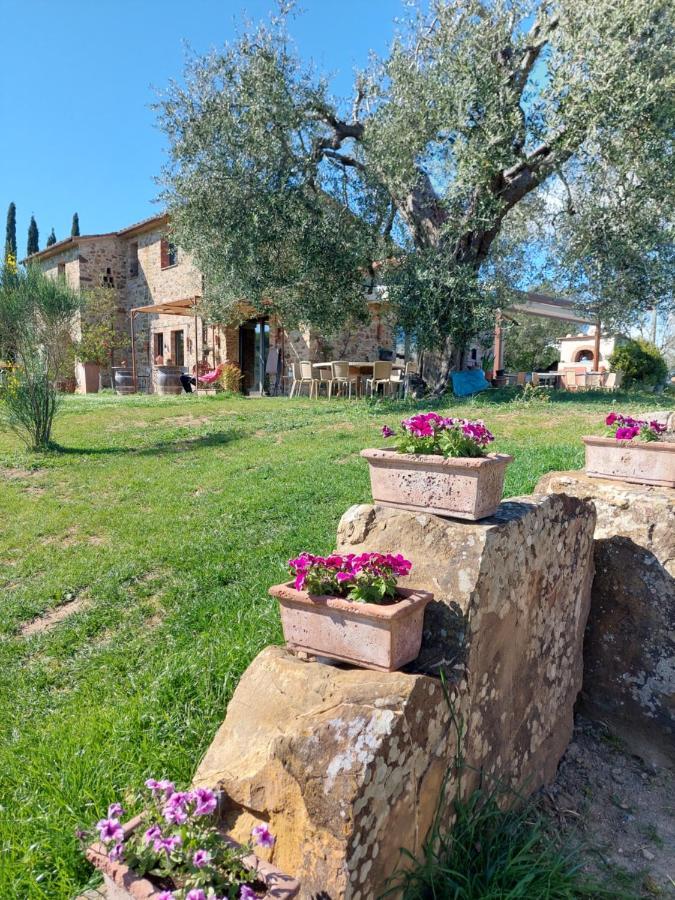 Casetta Dell'Uliveto Macchiascandona Exterior photo