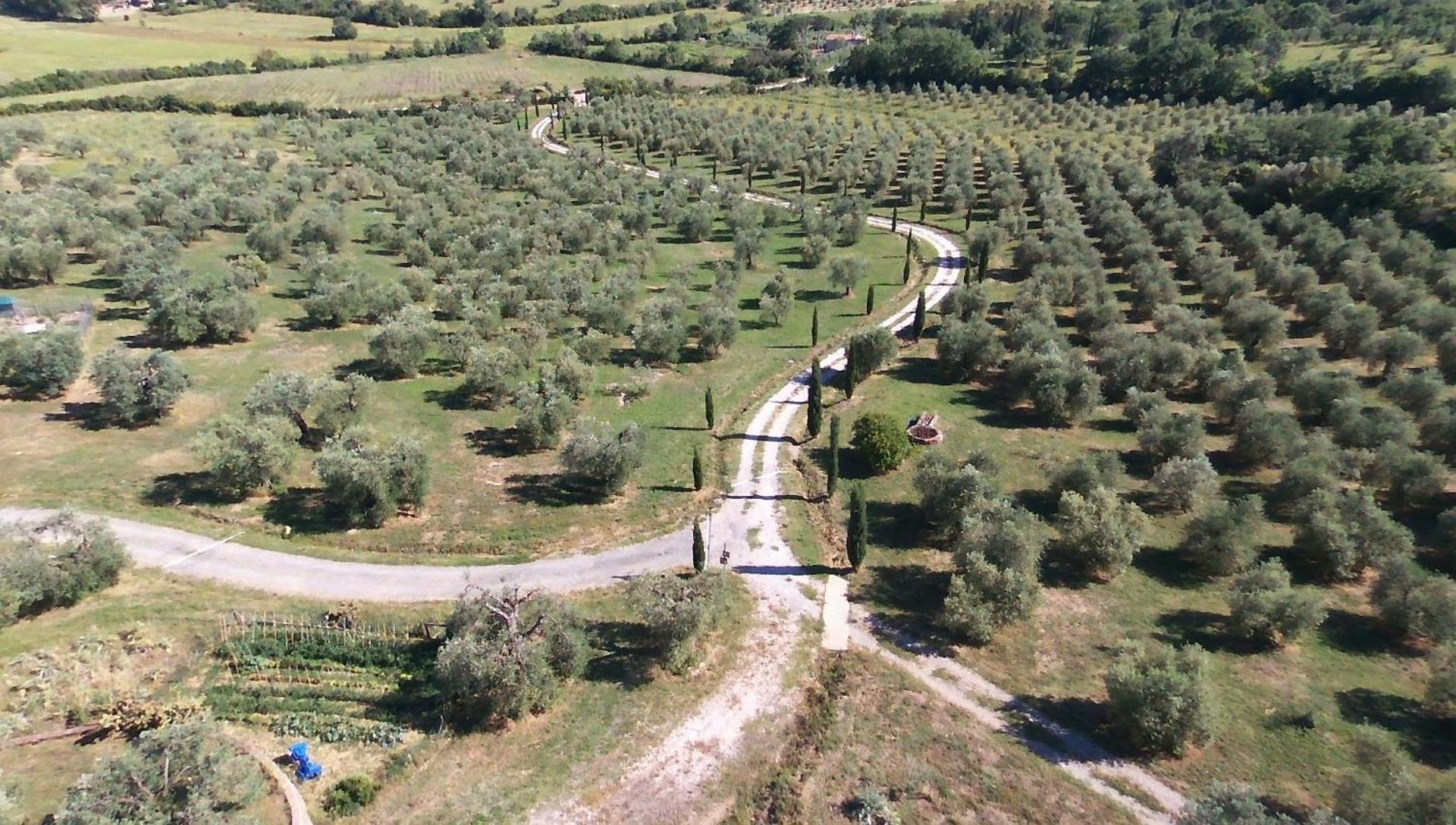 Casetta Dell'Uliveto Macchiascandona Exterior photo