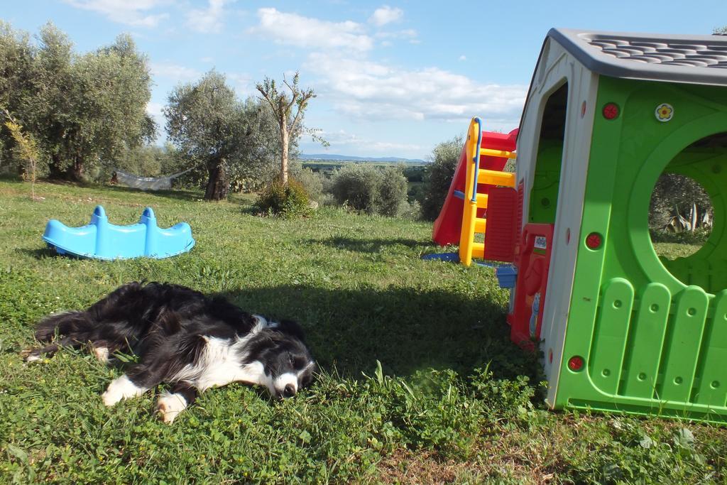 Casetta Dell'Uliveto Macchiascandona Exterior photo